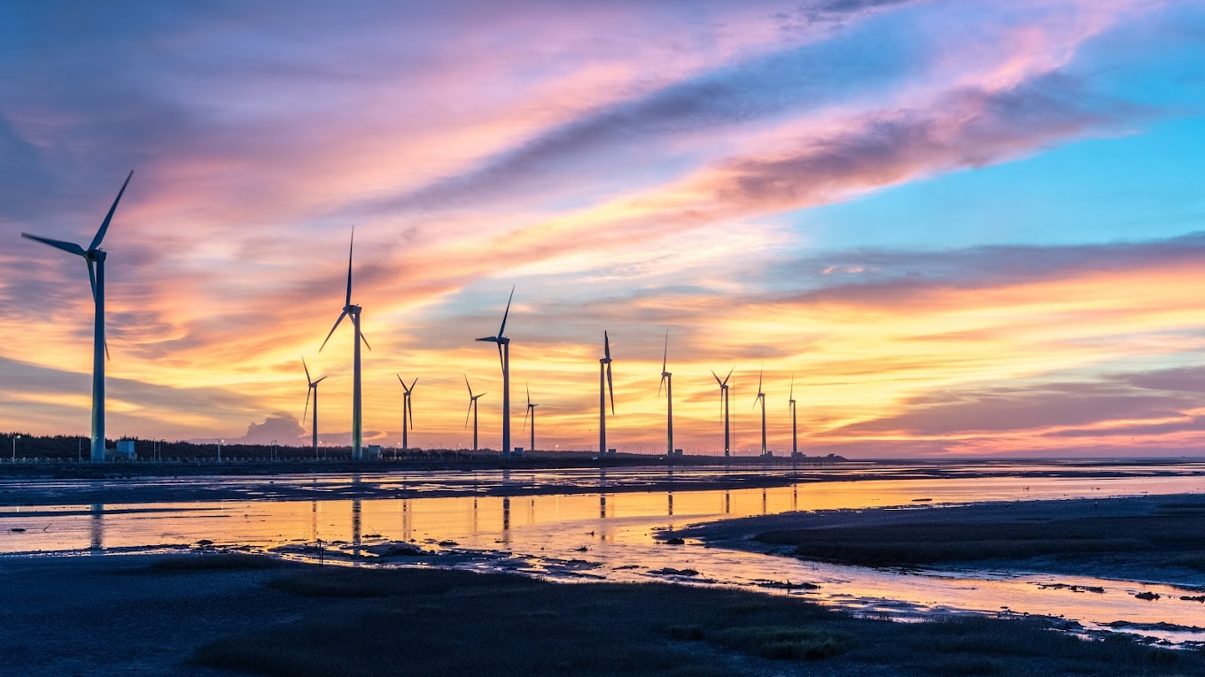 高美濕地潮汐觀察：最佳拍攝時刻與探索小指南