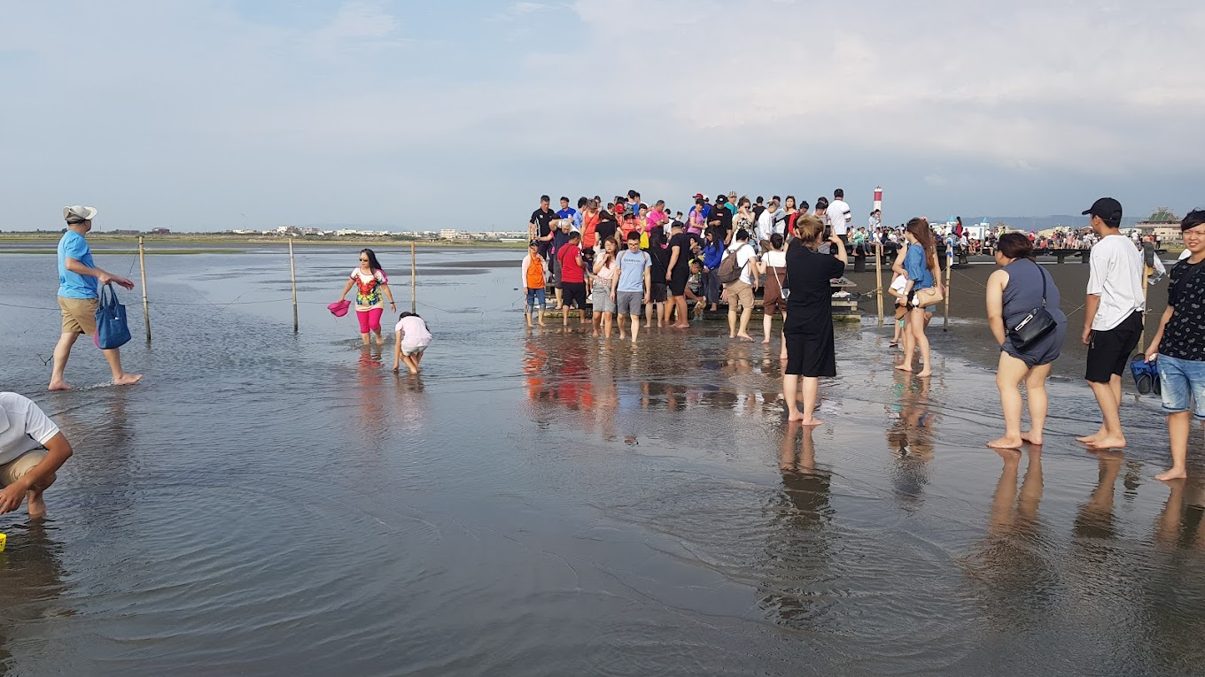 高美濕地潮汐觀察：最佳拍攝時刻與探索小指南