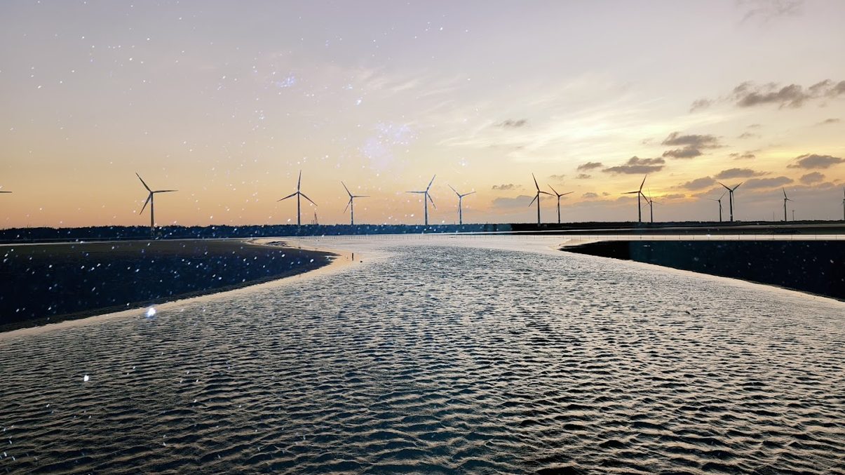 高美濕地潮汐觀察：最佳拍攝時刻與探索小指南