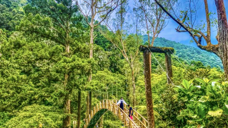 南投景點推薦：探索必訪景點與活動