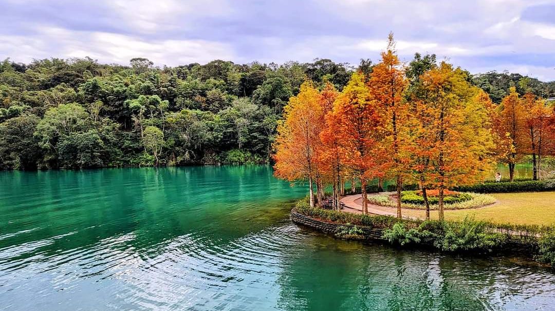 南投景點推薦：探索必訪景點與活動