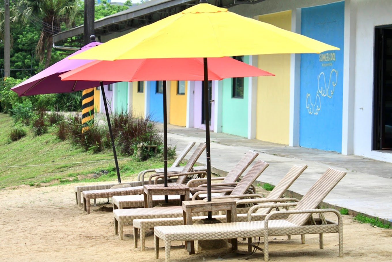 雲林景點推薦：探索澄霖沉香風味森林館及其他必訪景點