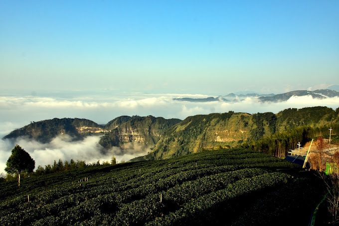 雲林景點推薦：探索澄霖沉香風味森林館及其他必訪景點