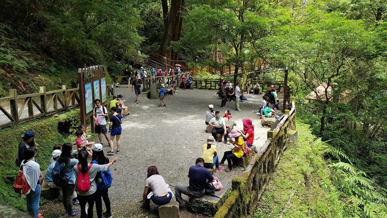 【2025】拉拉山必玩景點推薦｜不容錯過的自然奇觀