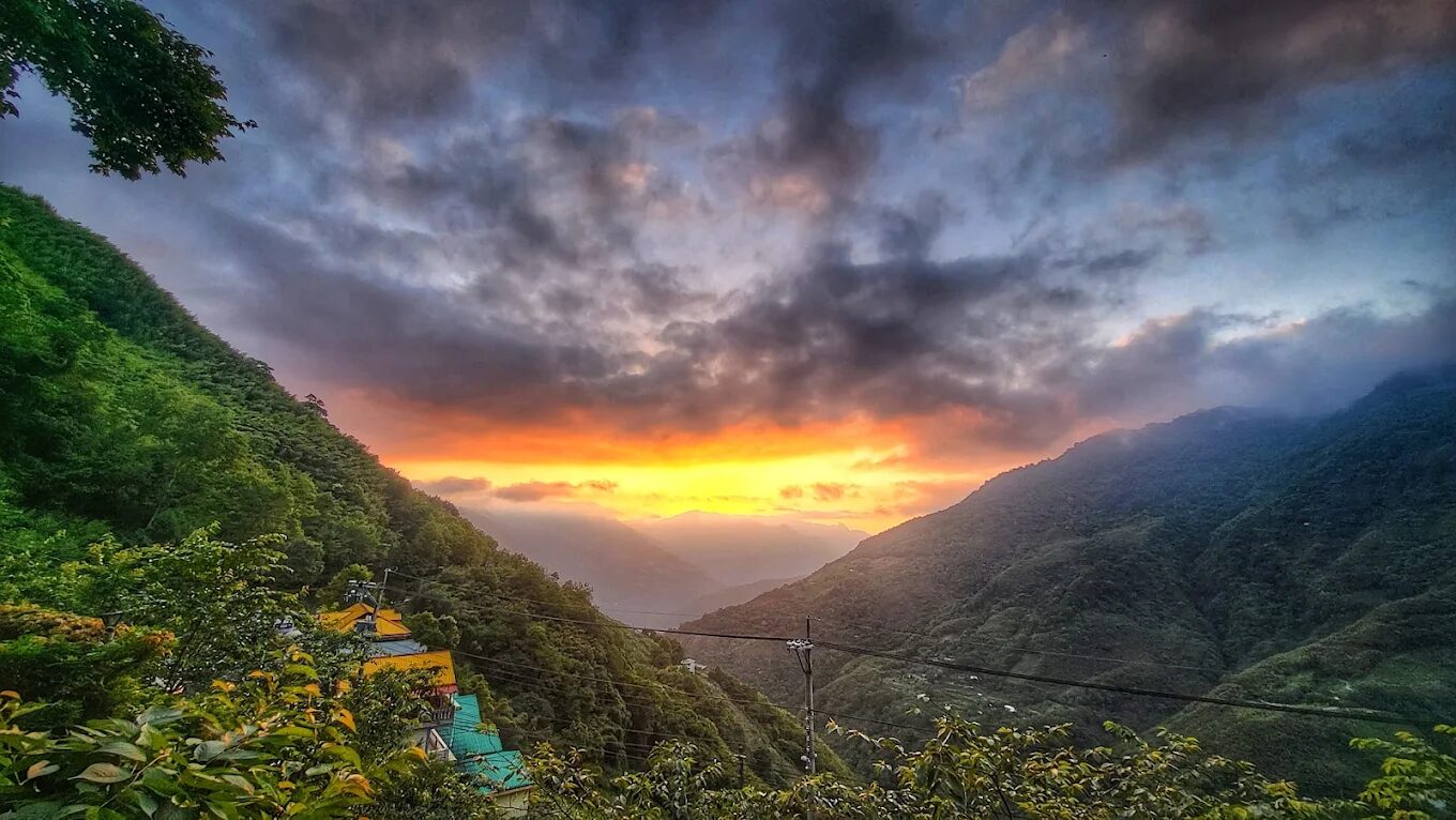 【2025】探索拉拉山森林遊樂區:讓你躍入仙境的必遊景點