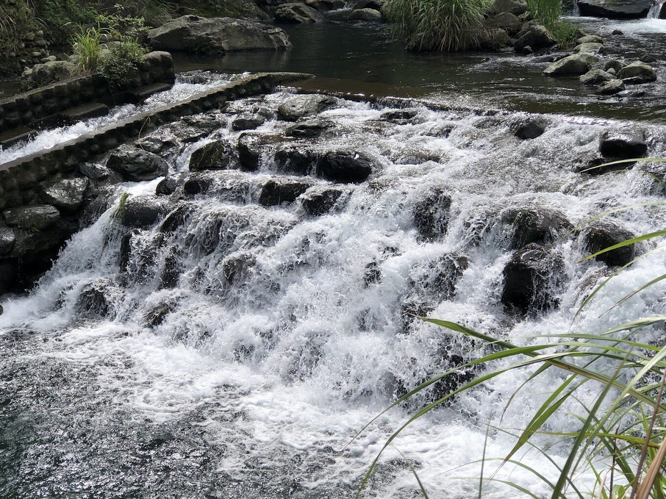 【2025】搜尋三峽景點必讀：避免錯過的魅力景點