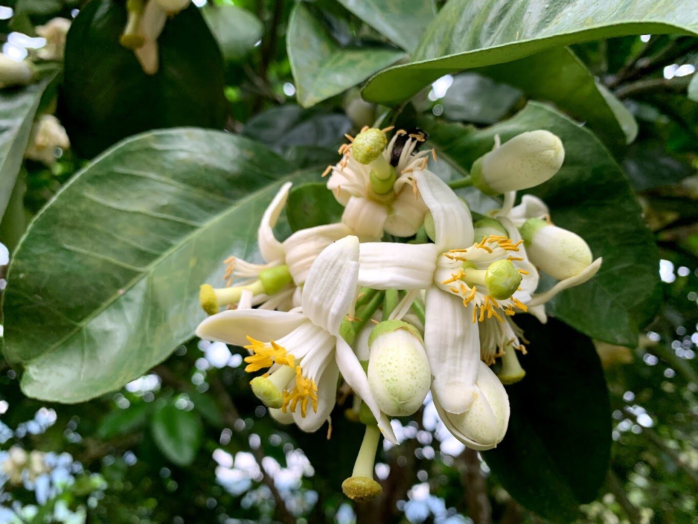 【2025】新北必訪景點推薦｜探索隱藏珍寶與當地美食