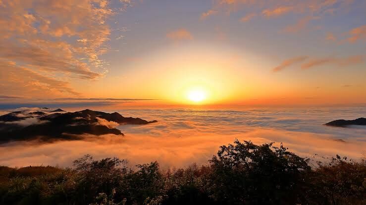 【2025】阿里山英迪格酒店不踩雷秘笈:避開這常見錯誤