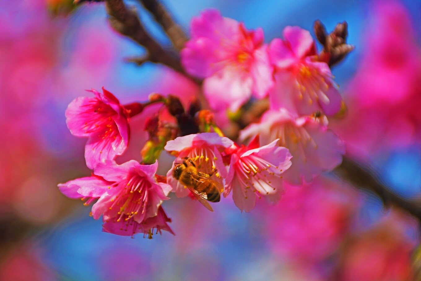 2025年新竹景點攻略｜必訪的隱藏寶藏，你知道嗎？