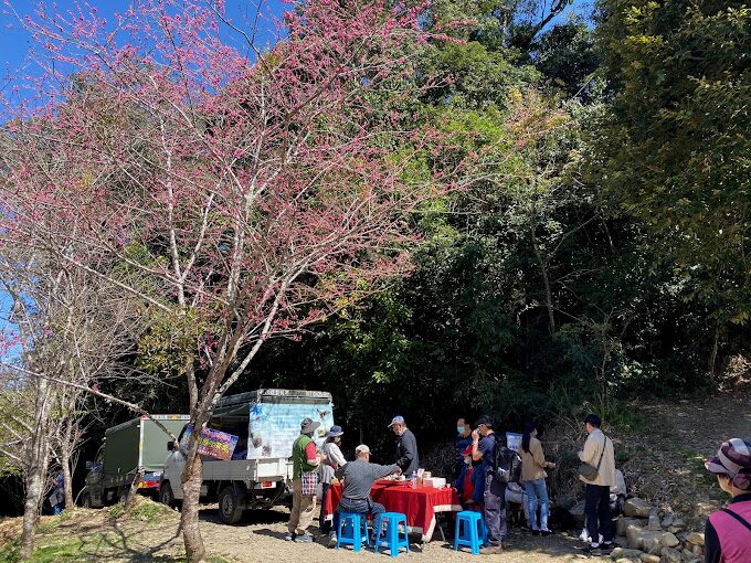 2025年度台灣賞櫻景點推薦｜不可錯過的人氣勝地