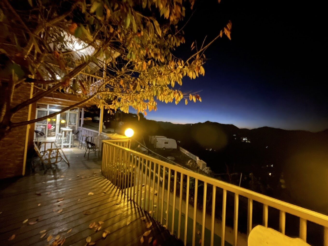 【2025】拉拉山神木，旅遊前你絕對不能忽視的關鍵指南