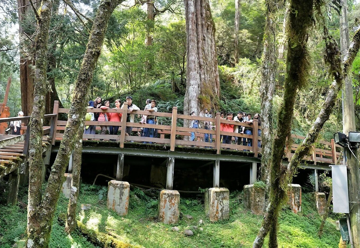 【2025】拉拉山神木，旅遊前你絕對不能忽視的關鍵指南