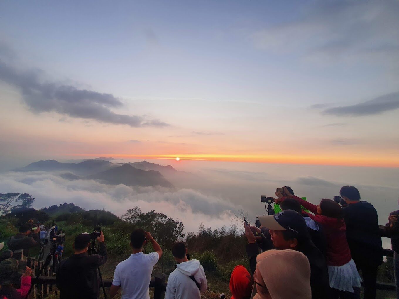 阿里山旅遊攻略｜2025年必知的絕景與避開人潮的方法