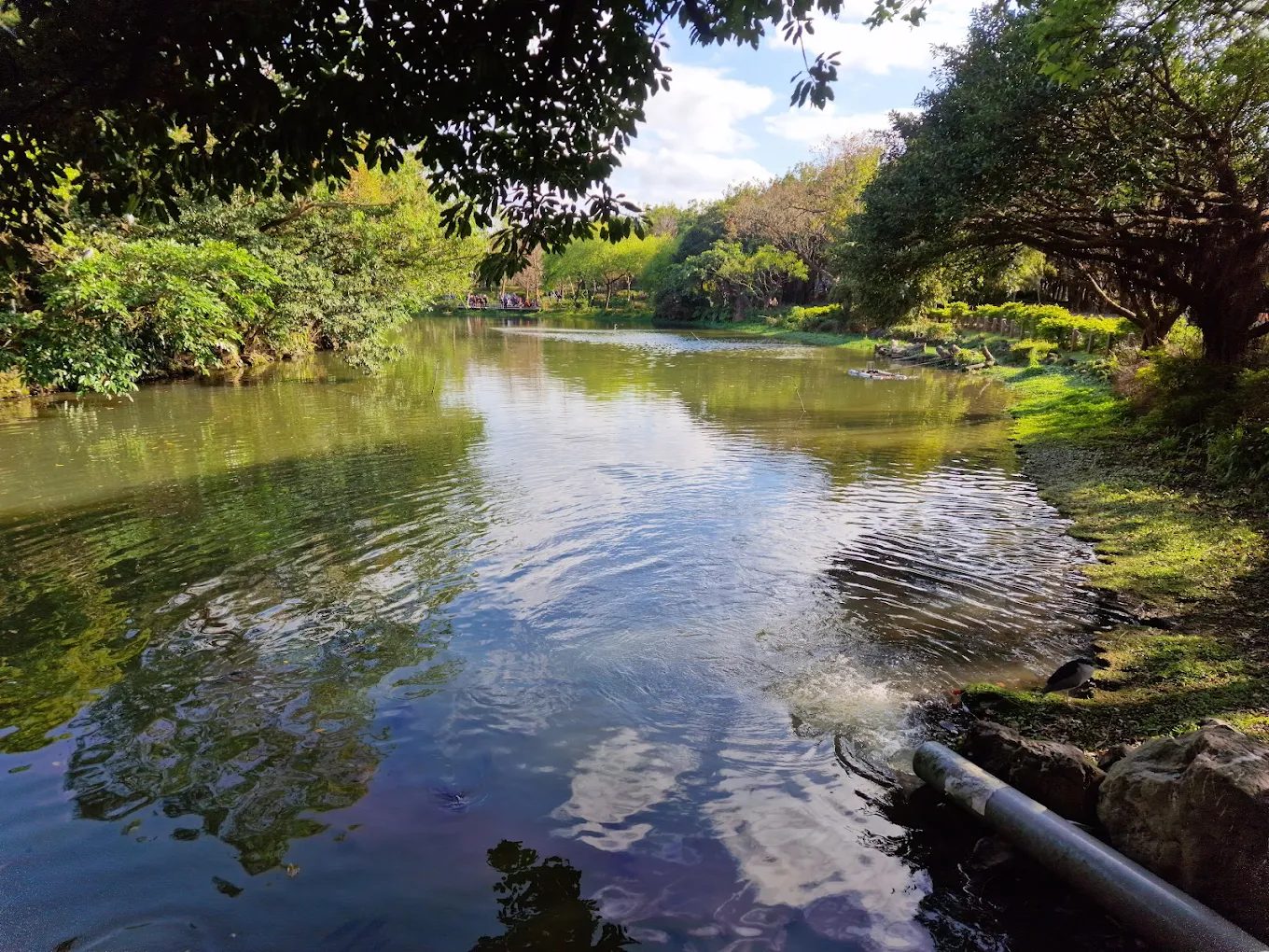 台北景點推薦:大安森林公園、陽明山國家公園及更多