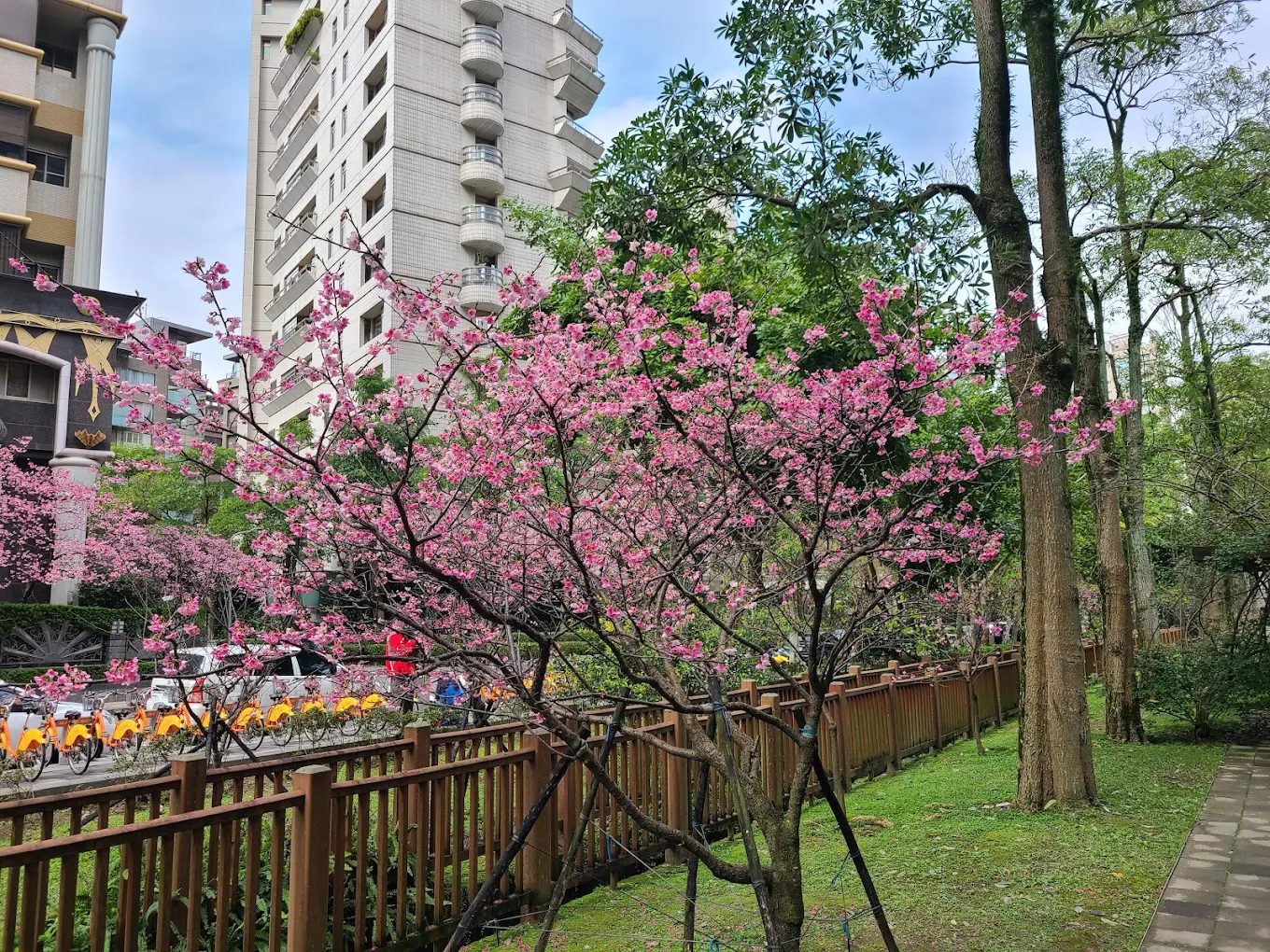 台北景點推薦:大安森林公園、陽明山國家公園及更多