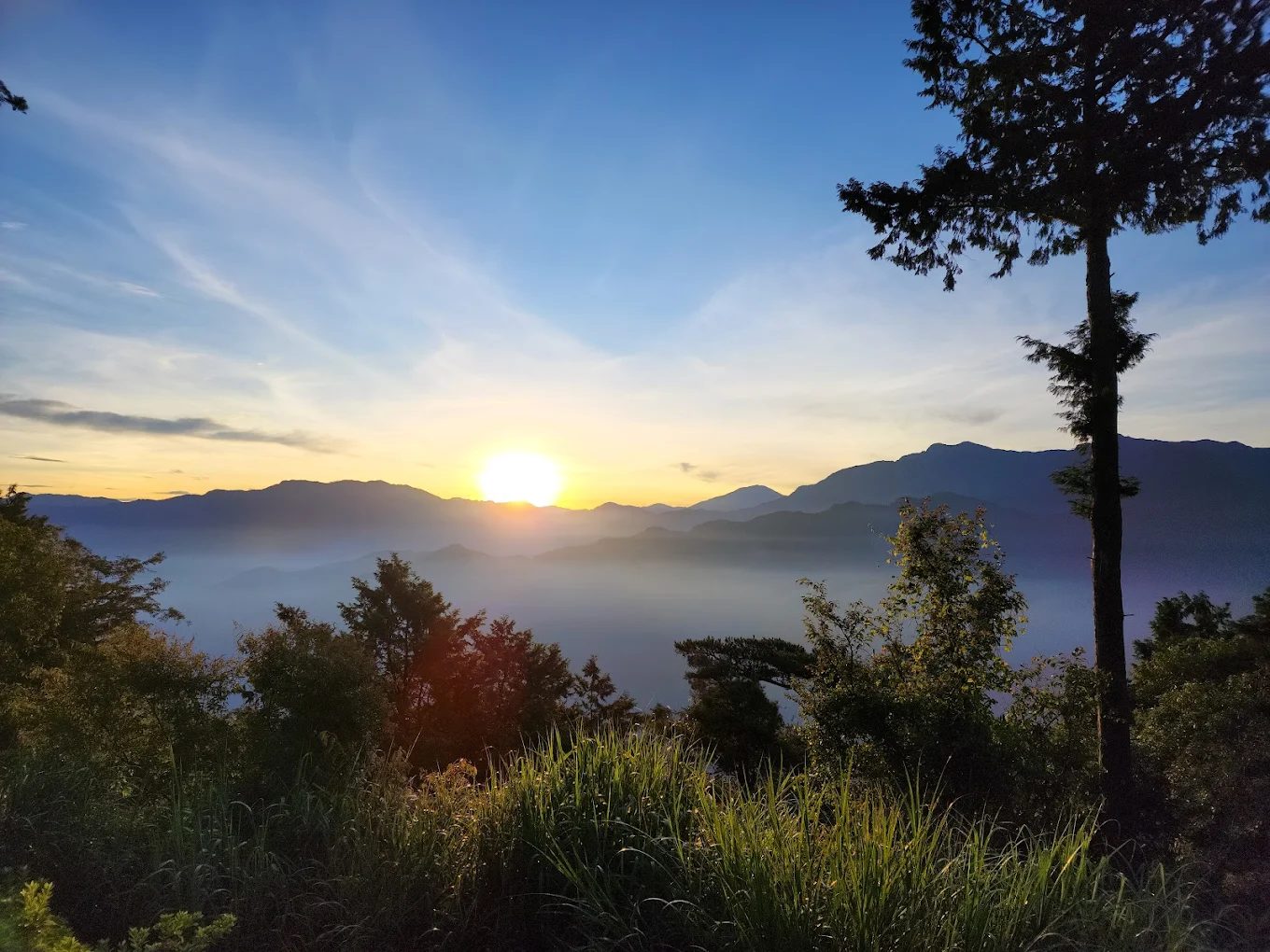 阿里山鄉旅遊指南｜必訪景點與美食推薦