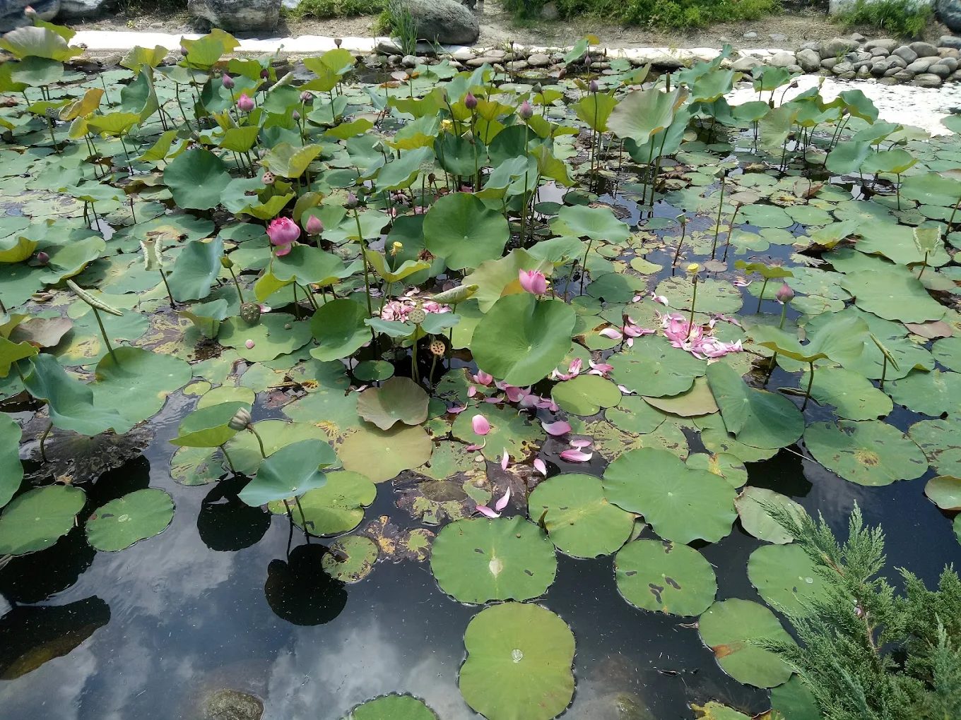 彰化景點：探索八卦山天空步道及周邊美麗景點