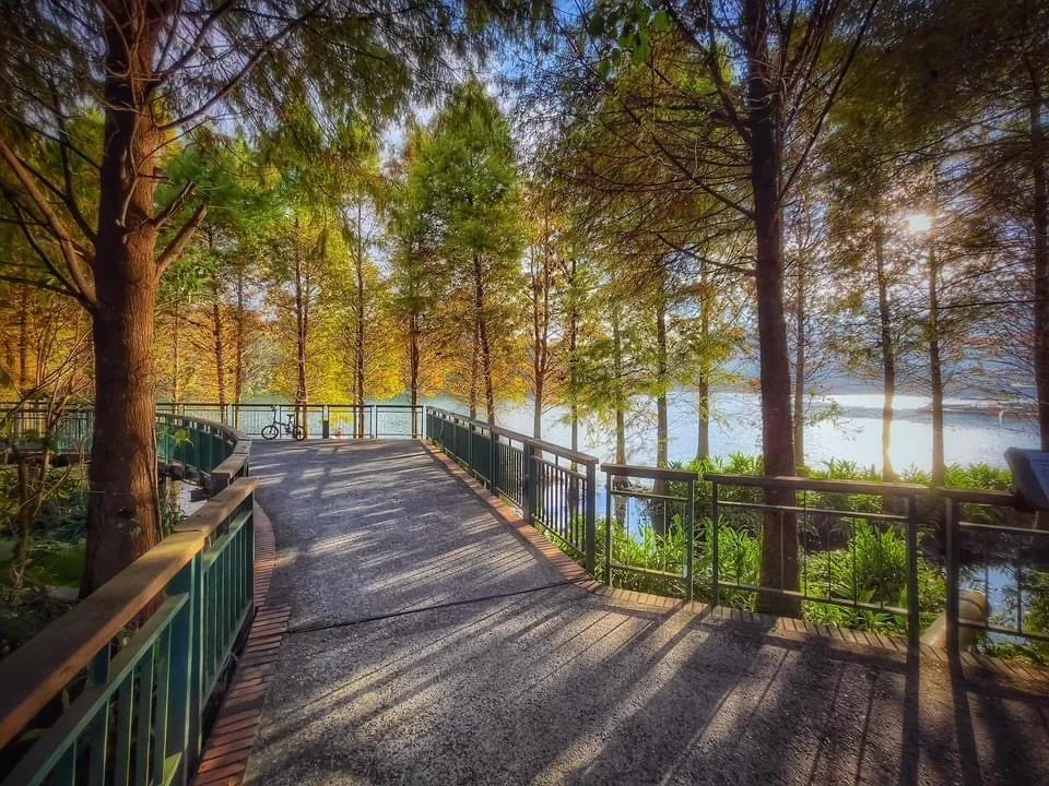 探索台灣日月潭的隱藏寶石：最佳景點、餐廳與活動推薦