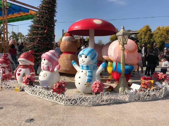 【2025】三隻小豬觀光農場必訪理由：為什麼家長們都選擇這裡帶孩子？