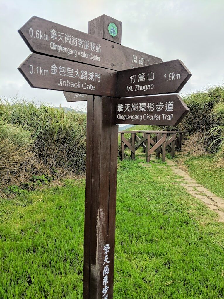 【2025】擎天崗必訪 景點推薦｜讓你的旅行不留遺憾