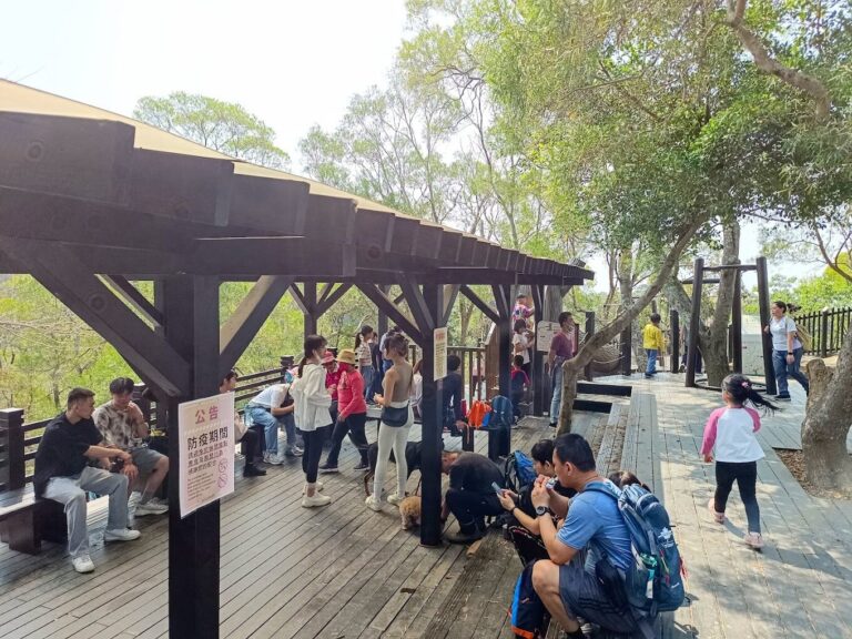 大坑步道必讀指南｜錯過這景點等同白來