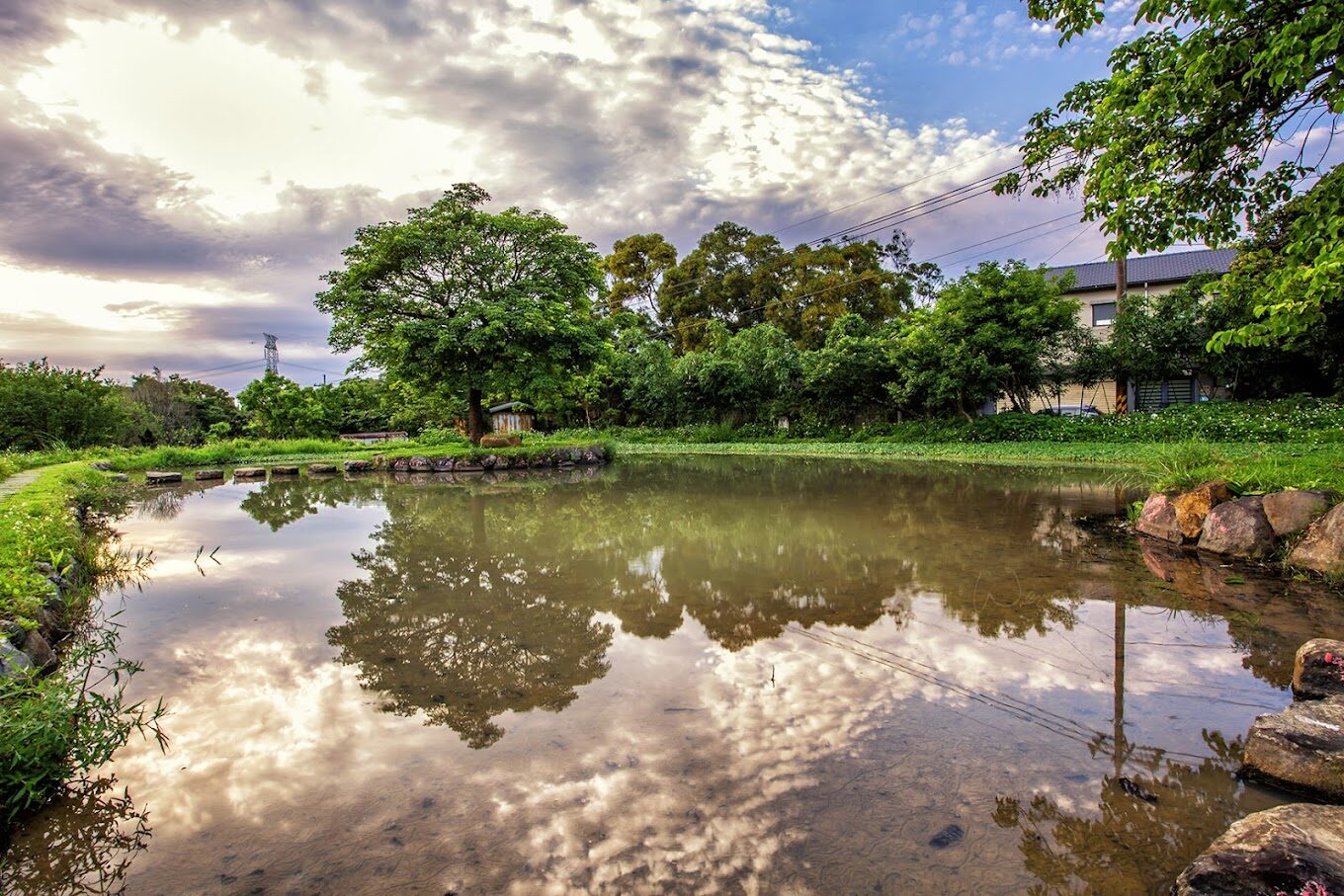 【2025】三芝不可錯過的絕美打卡景點|探訪隱藏秘境