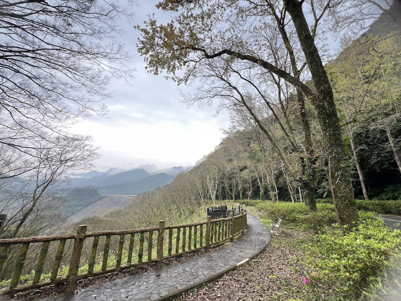 【2025】桃園景點必訪指南｜鮮為人知的絕美秘境