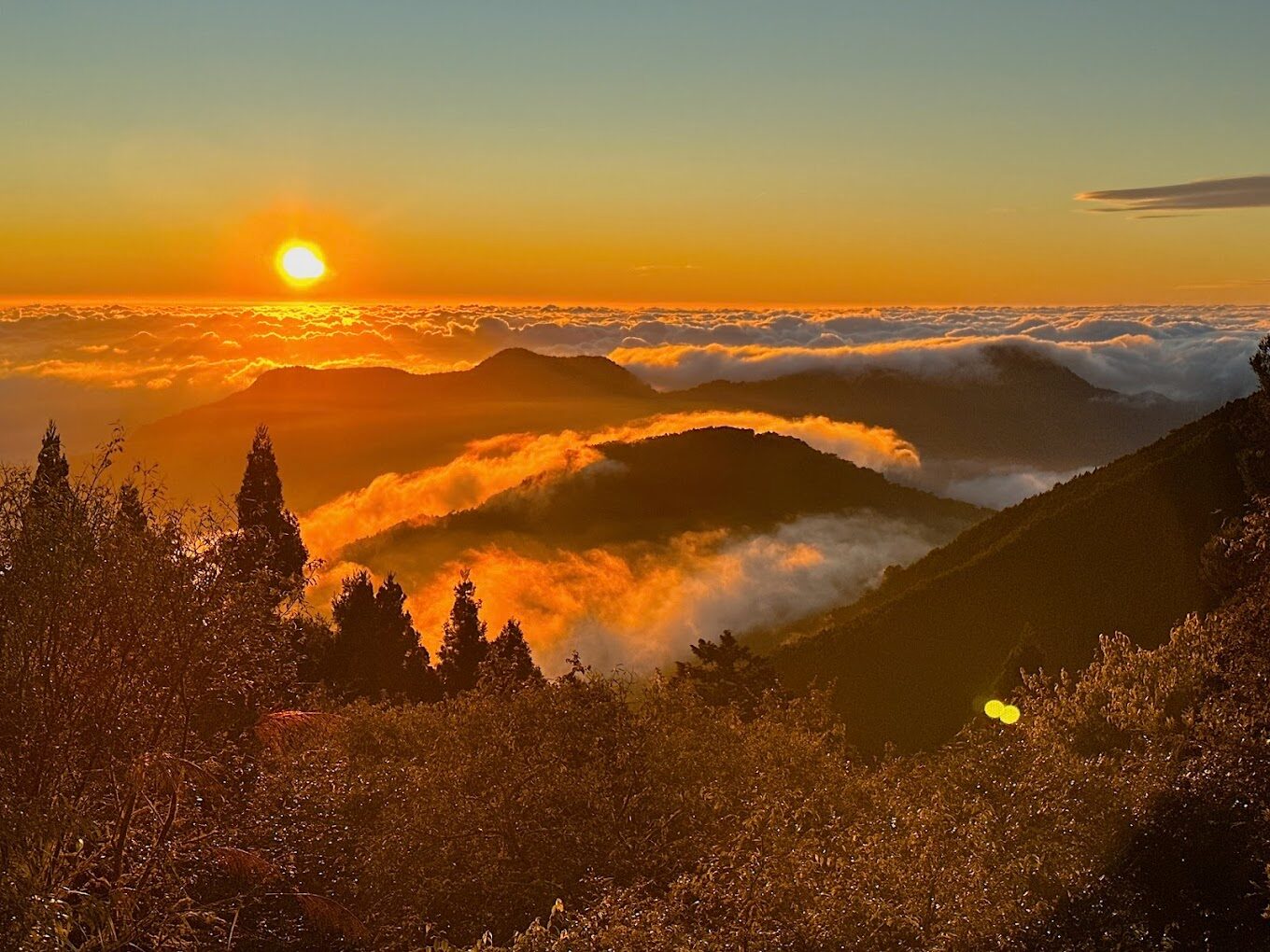 阿里山賓館不得不知的亮點｜旅客入住前的完全指南