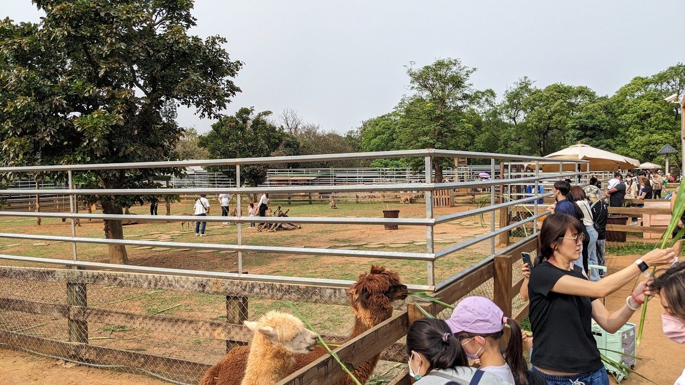 埔心牧場:親子活動的天堂,帶你體驗農場生活的樂趣