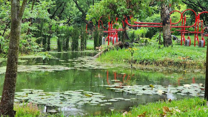 大安森林公園的最佳遊玩指南｜探索台北城市綠肺的美好