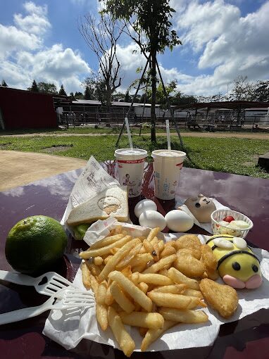 埔心牧場一日遊推薦｜你不能錯過的精彩活動