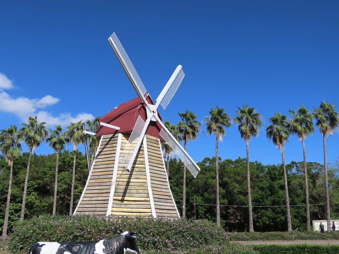 埔心牧場一日遊推薦｜你不能錯過的精彩活動