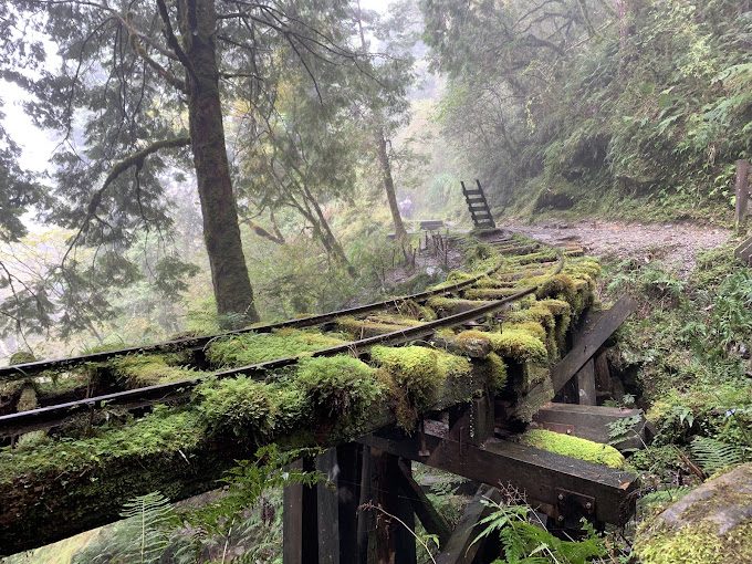 見晴懷古步道:探索宜蘭隱藏的自然秘境