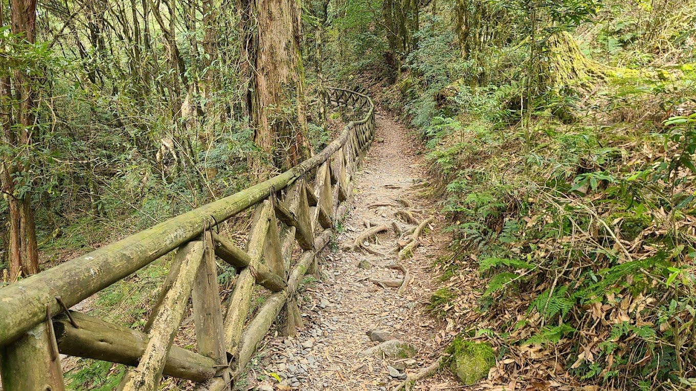 探索大雪山森林遊樂區的絕美秘境與活動