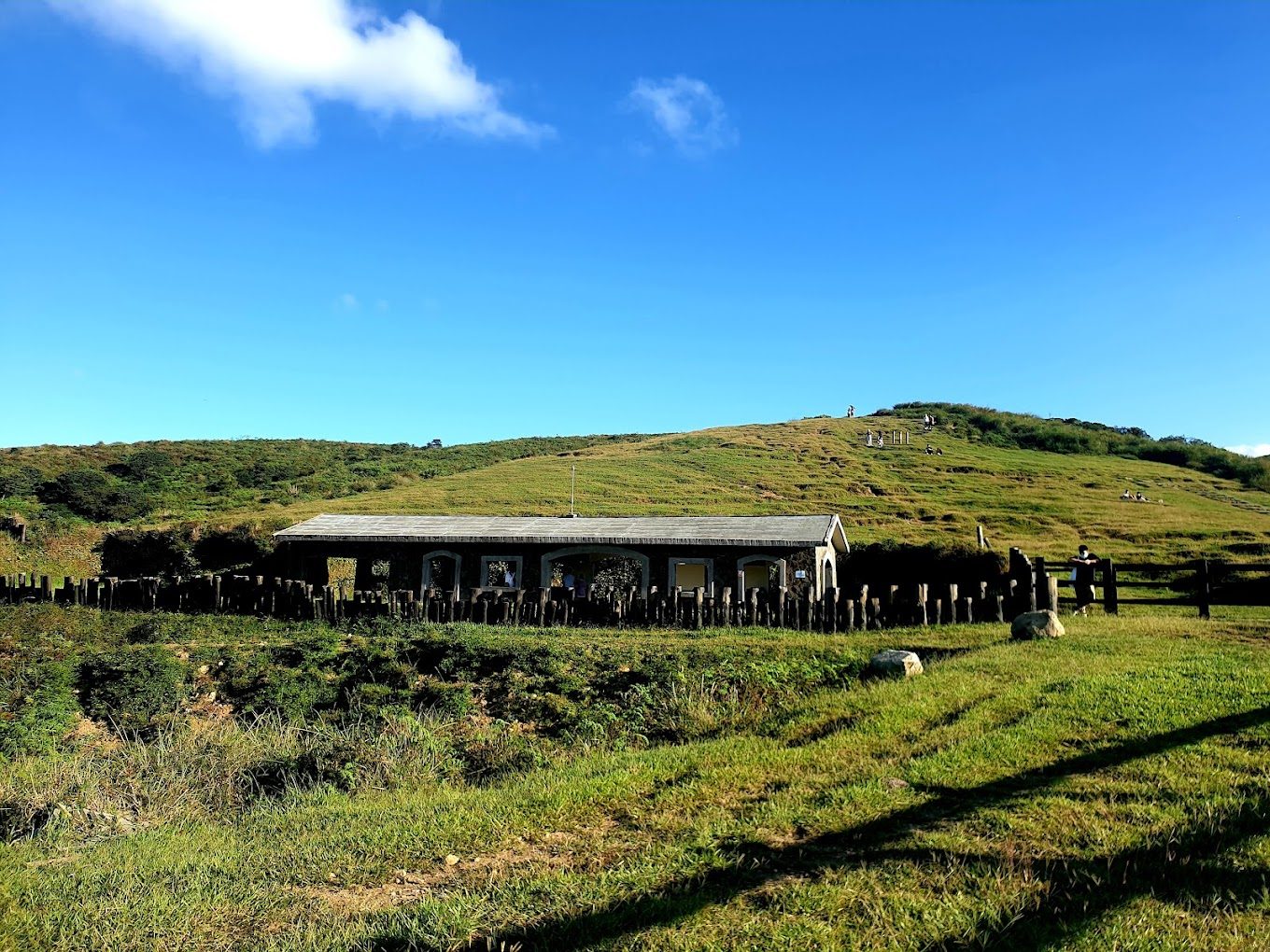 擎天崗:探索台北的自然美景與健行秘境