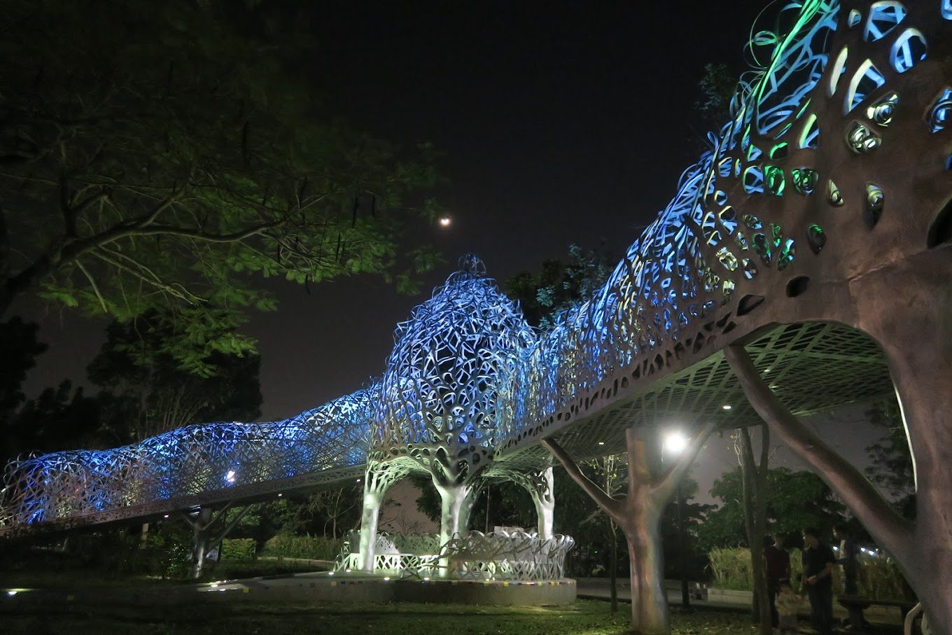 嘉義景點必訪:探索森林之歌與其他美麗景點