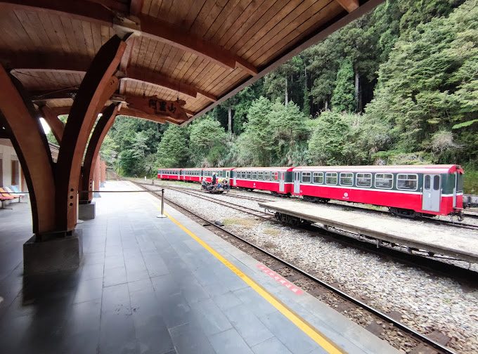 體驗阿里山小火車：探索台灣美麗的自然風光與文化魅力