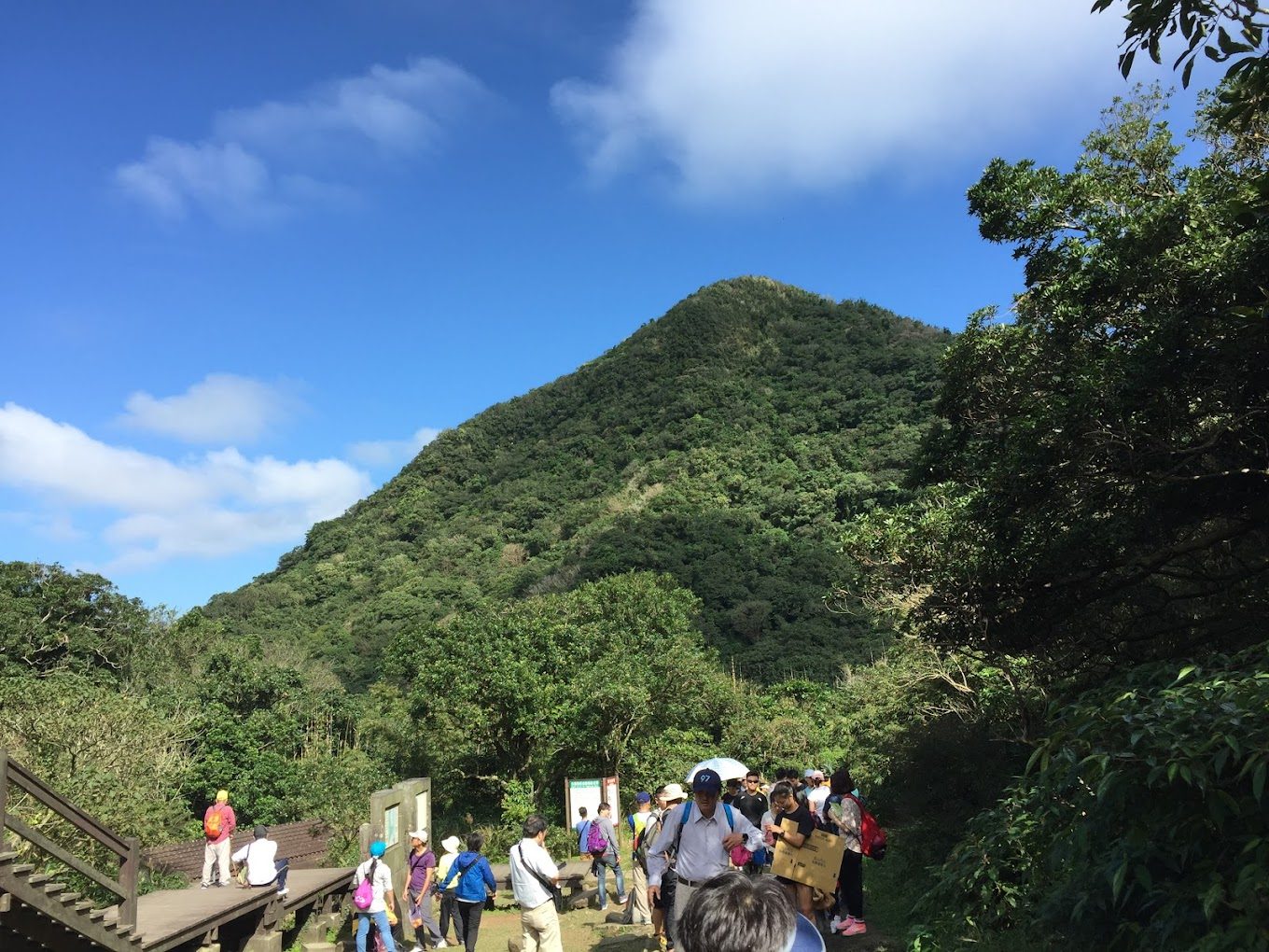 草嶺古道的魅力：體驗自然之美與歷史文化