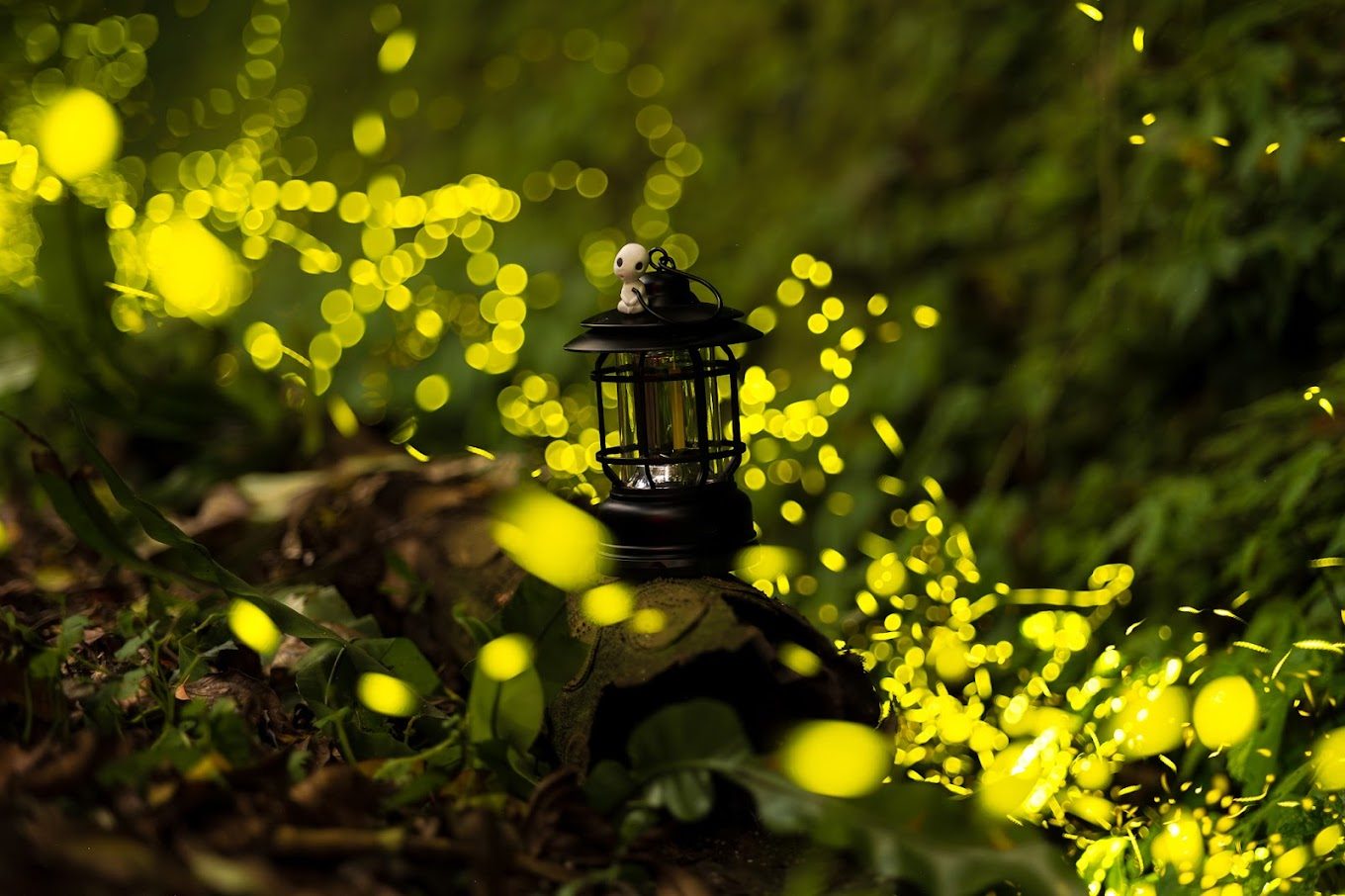 探索螢火蟲的美麗夜空：精選賞螢地點推介