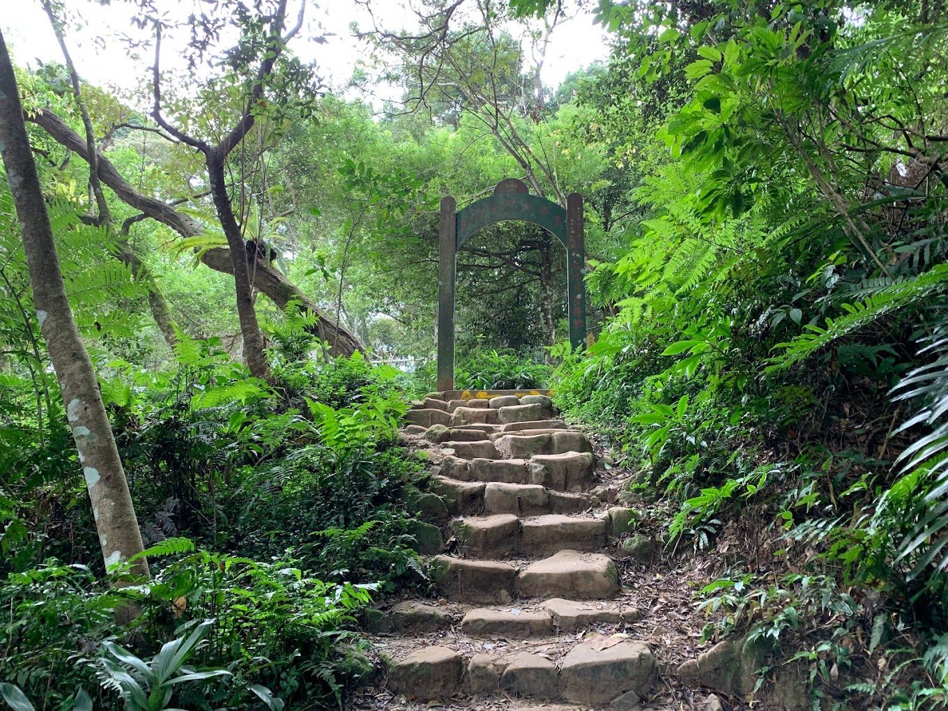 探索石門水庫的美麗風光：必訪景點與活動介紹