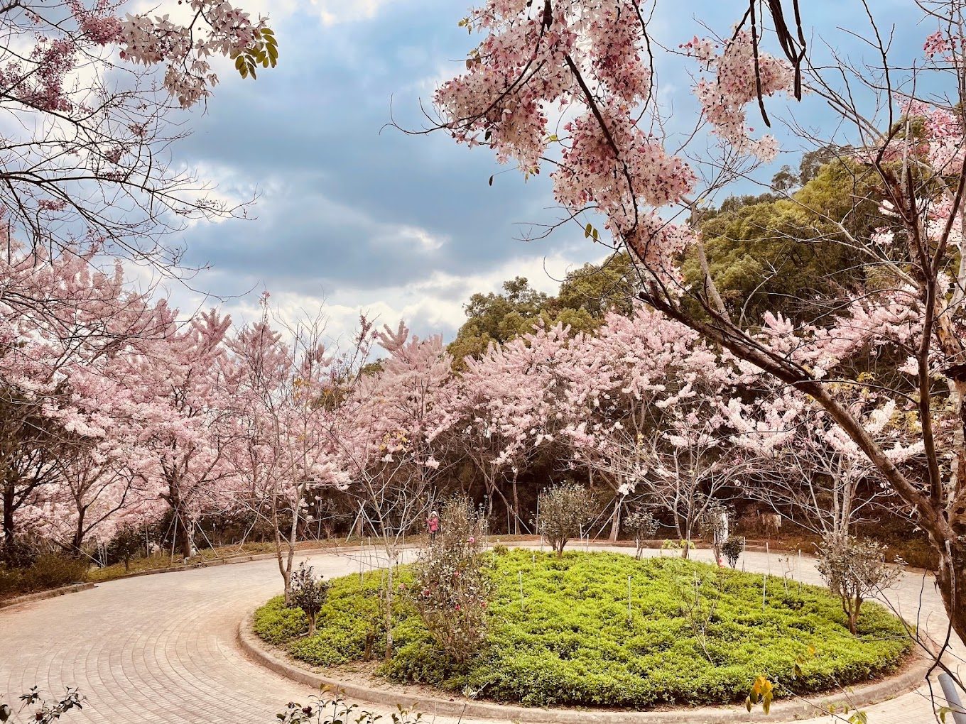 寶來溫泉：最佳泡湯秘訣與最新景點介紹
