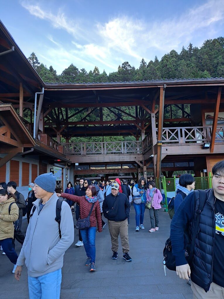 阿里山小火車旅遊攻略｜必知的冷門小技巧，讓你的旅程更順利
