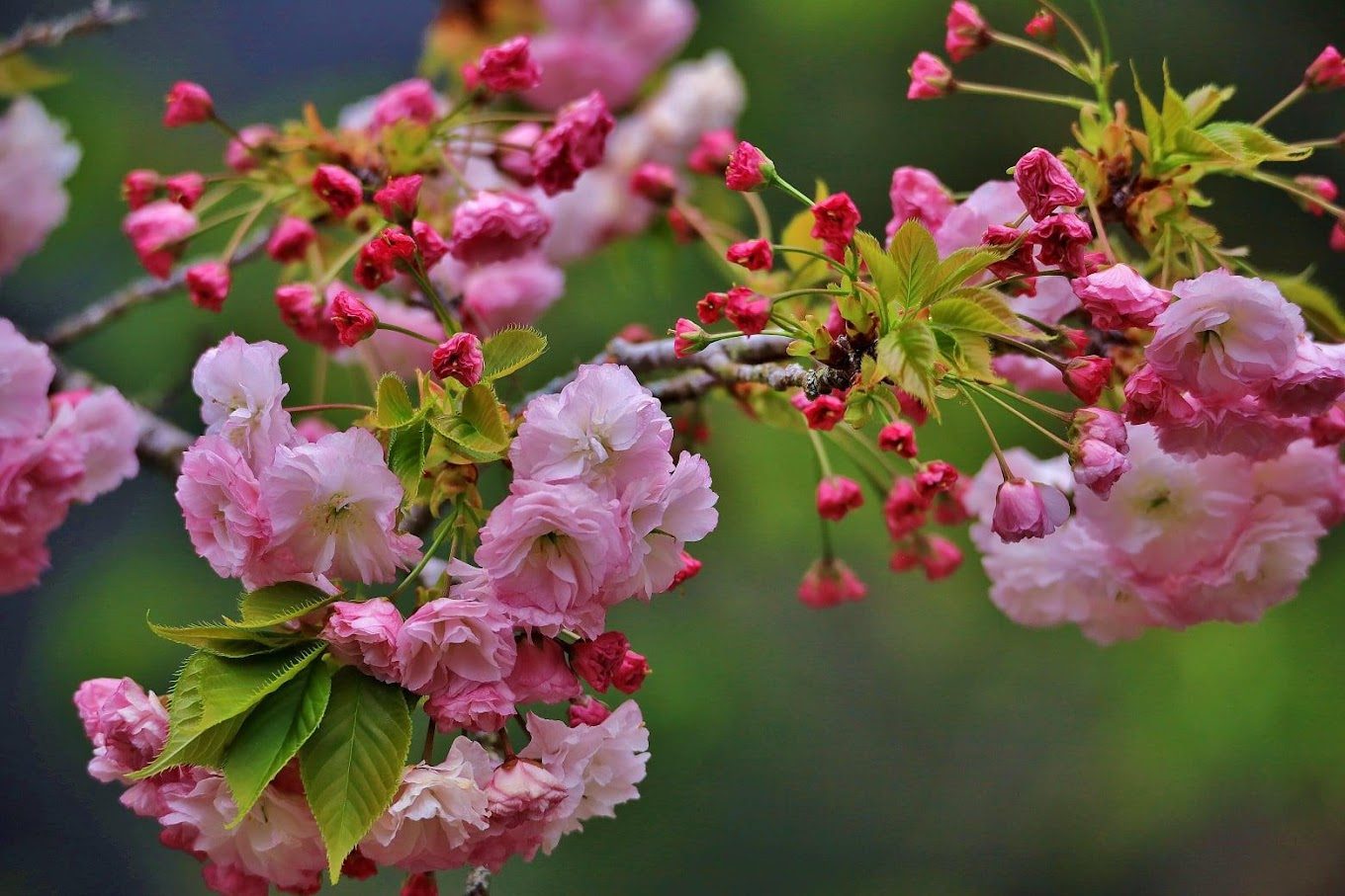杉林溪的絕佳旅遊體驗：你的完美健行和放鬆之選