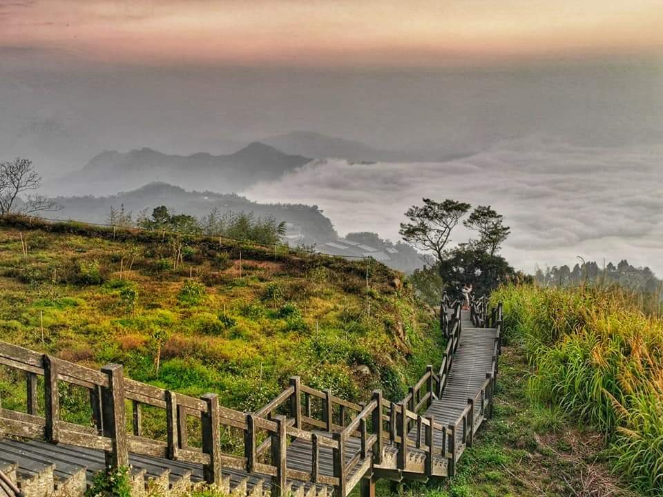 2025 阿里山秘境探險指南｜如何在熱門景點避開人潮，獲得絕佳旅遊體驗？