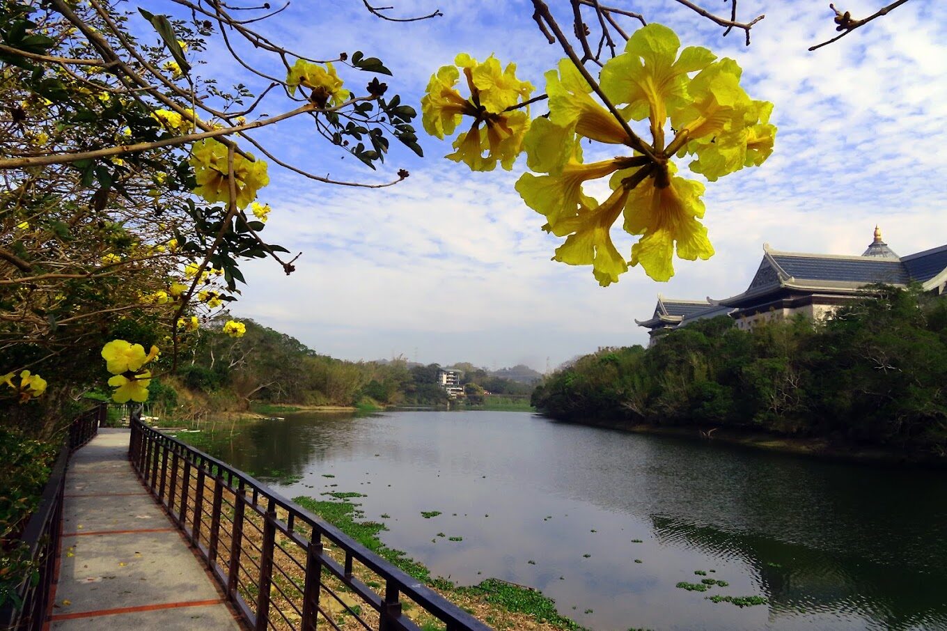 新竹峨眉湖避開旅遊錯誤：讓你的旅行更加愉快的秘訣