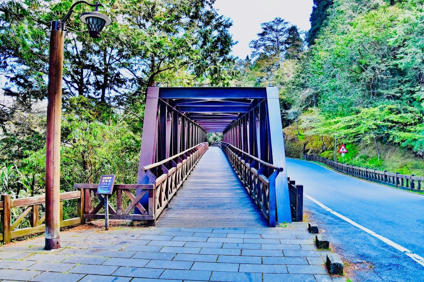 2025 阿里山秘境探險指南｜如何在熱門景點避開人潮，獲得絕佳旅遊體驗？