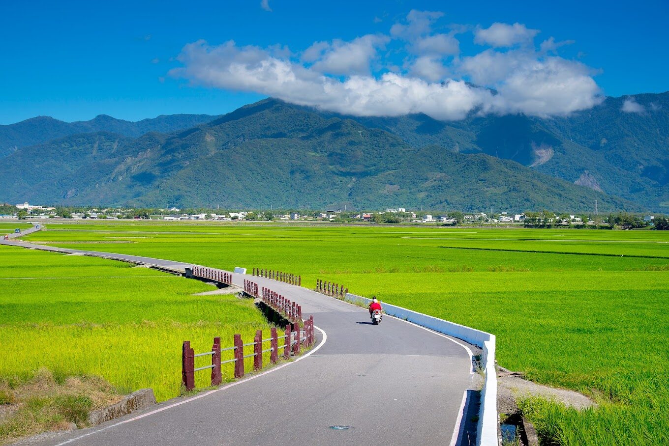 伯朗大道必看景點｜秋冬旅行不容錯過的拍照秘境