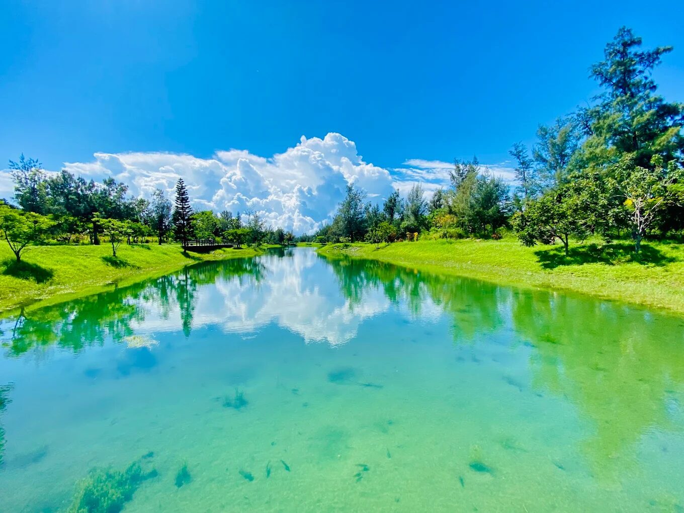 2025台東景點推薦｜必訪自然秘境，探索台灣後花園的魅力