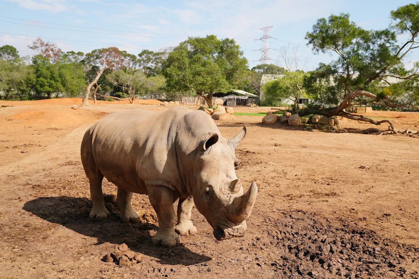 六福村親子旅遊攻略｜暑期必知的項目不容錯過