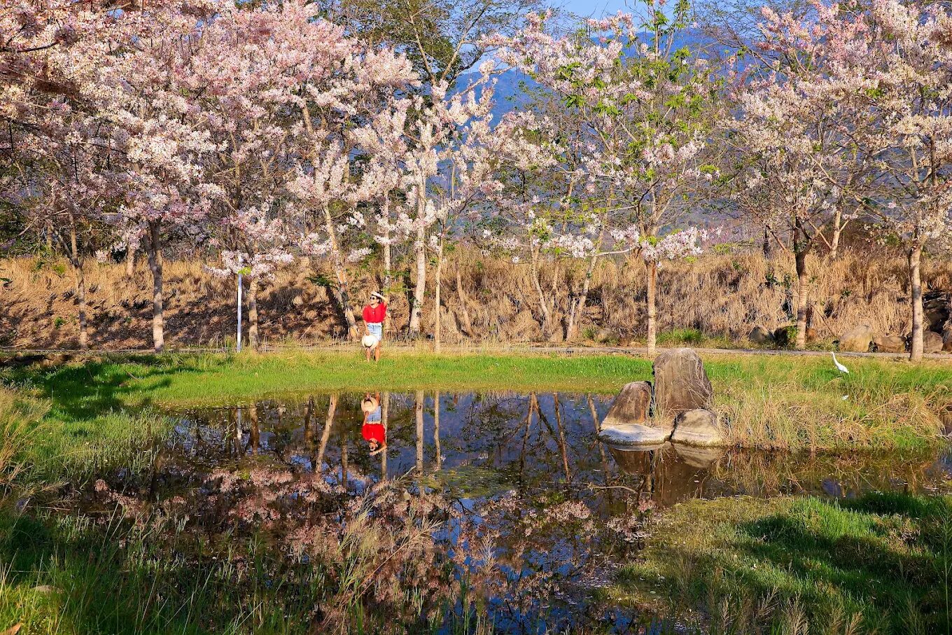 寶來溫泉必去景點｜享受療癒放鬆的完美旅遊行程
